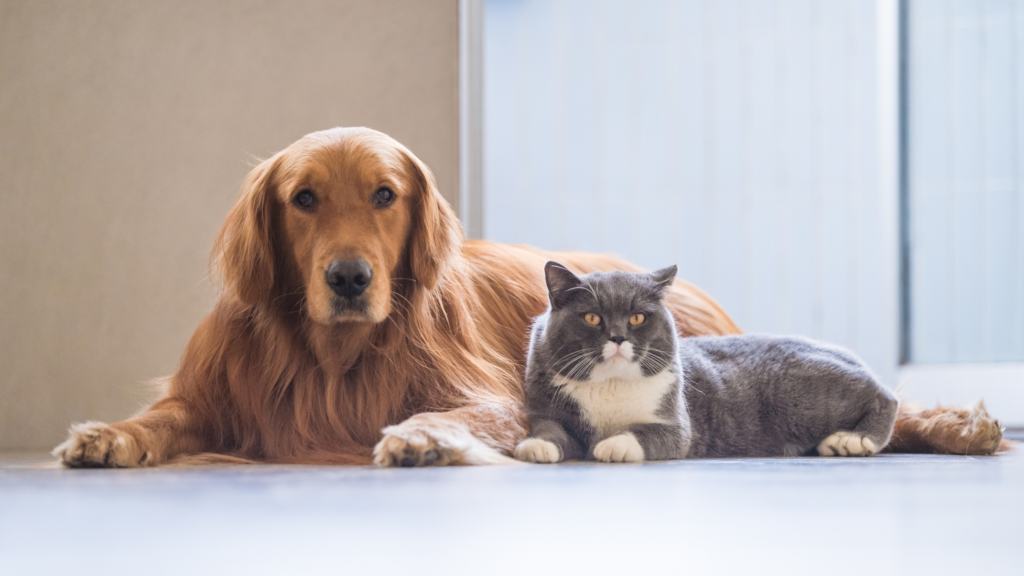 Caption on Friends Forever